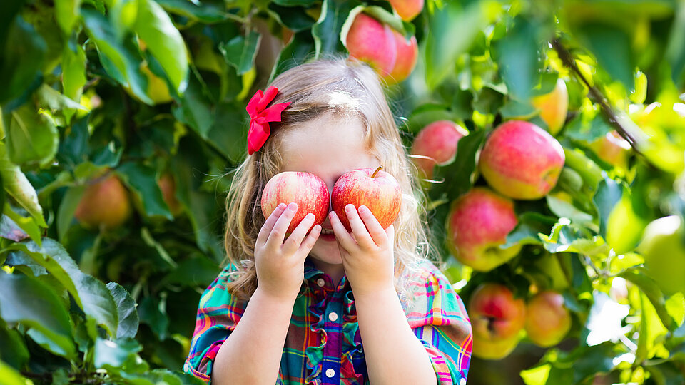 Ein Kind hält sich zwei rote Äpfel vor die Augen